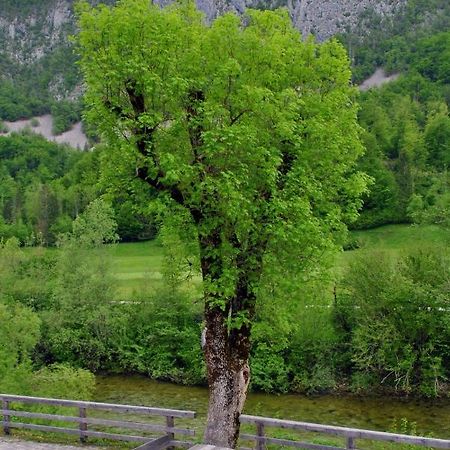Riverside Village Apartment Бохинь Экстерьер фото